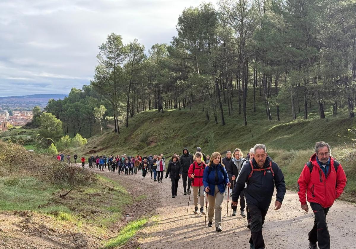 Los participantes enfilando los najerinos montes de La Salera, en dirección a San Millán.