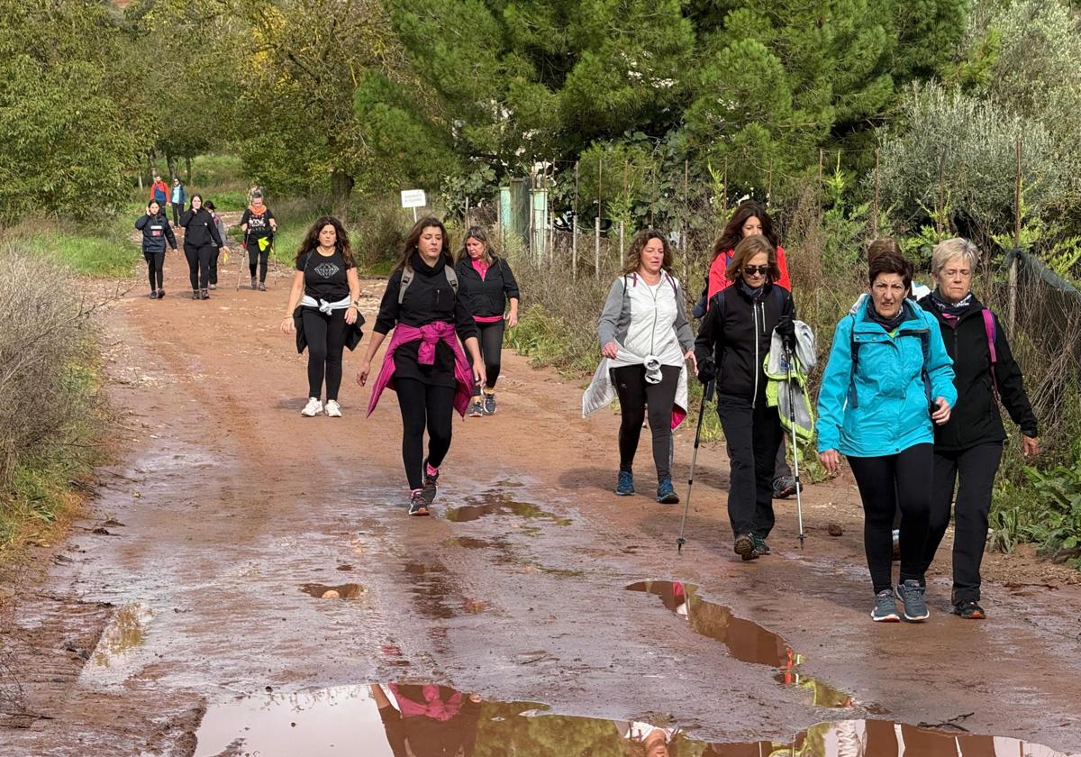 7ª edición de la marcha por el Camino Real de Nájera a San Millán