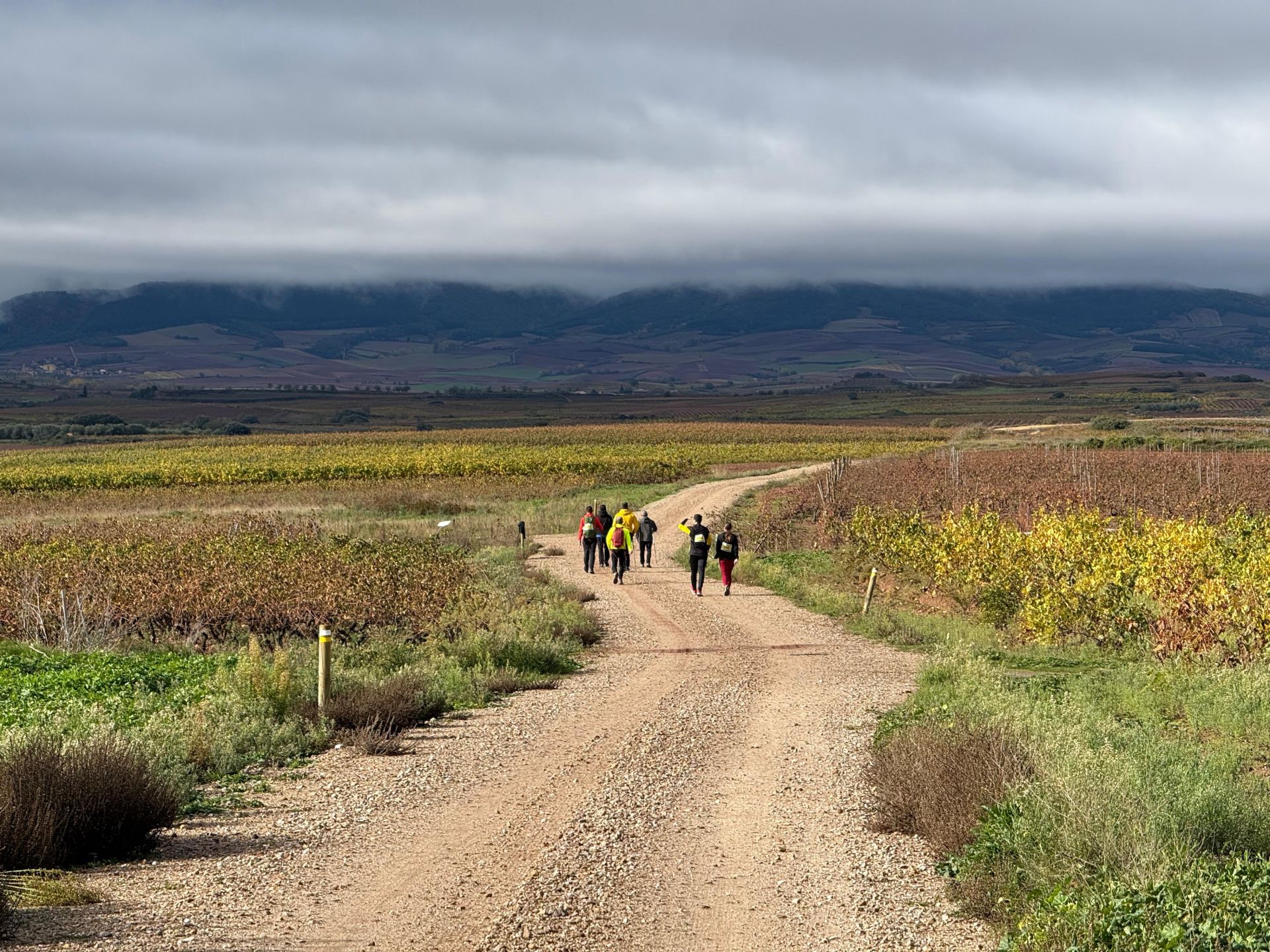 7ª edición de la marcha por el Camino Real de Nájera a San Millán