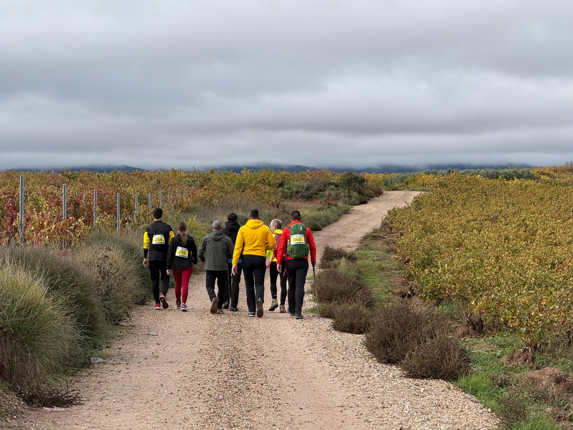 7ª edición de la marcha por el Camino Real de Nájera a San Millán