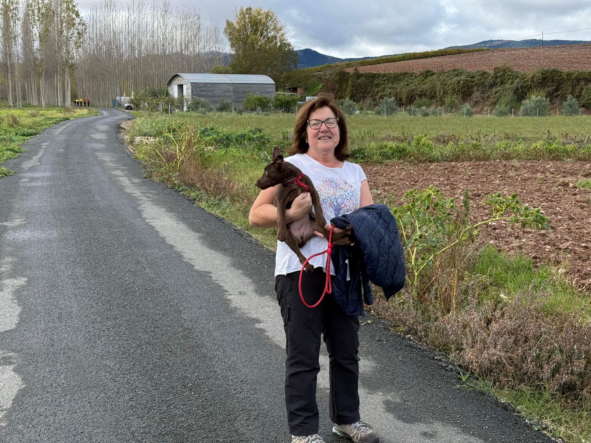 7ª edición de la marcha por el Camino Real de Nájera a San Millán