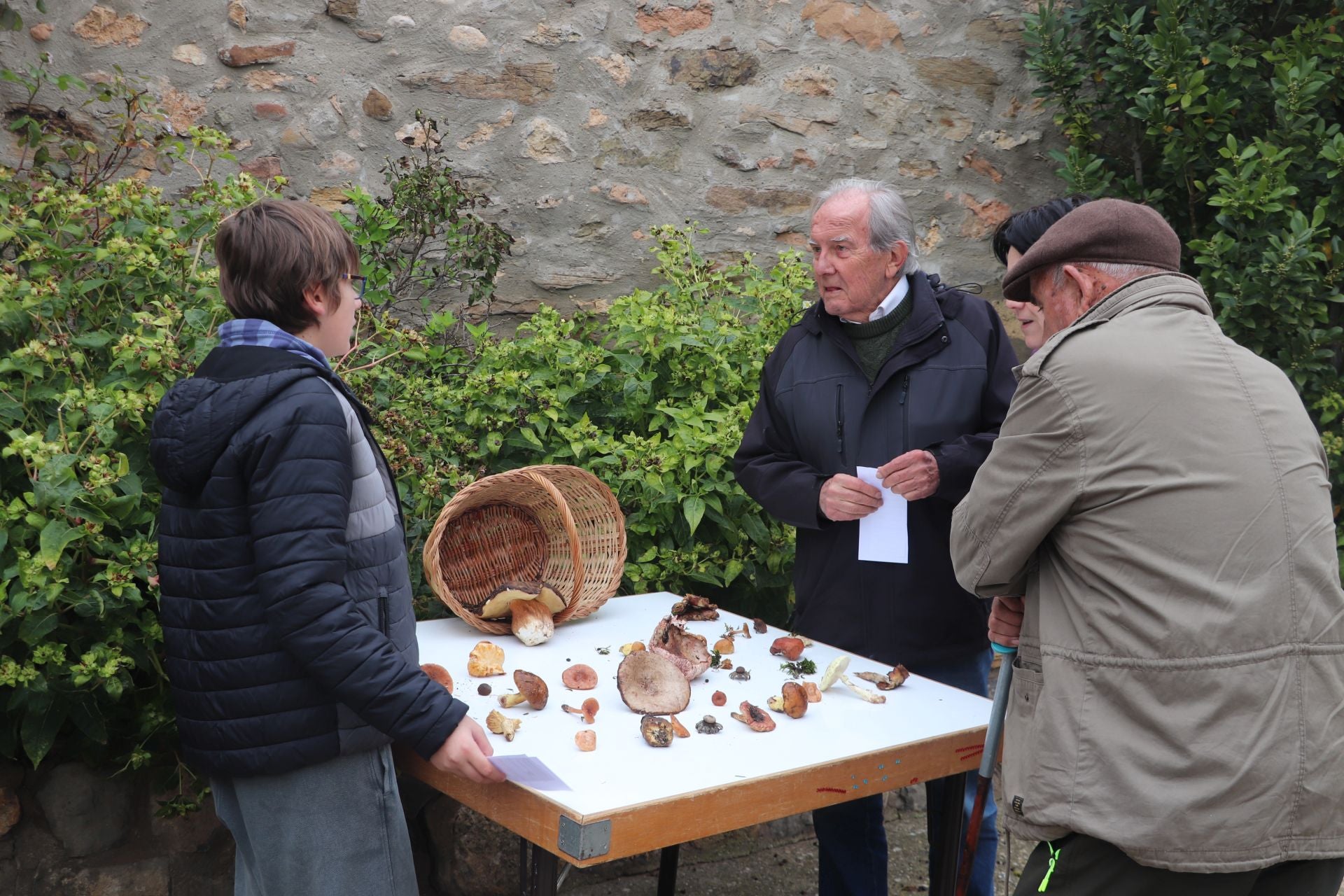 Las XXIX Jornadas Micológicas de Villarroya reúnen a cientos de personas