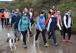 Algunos de los participantes de la marcha que Amade organizó el domingo contra el cáncer en Aldeanueva de Ebro