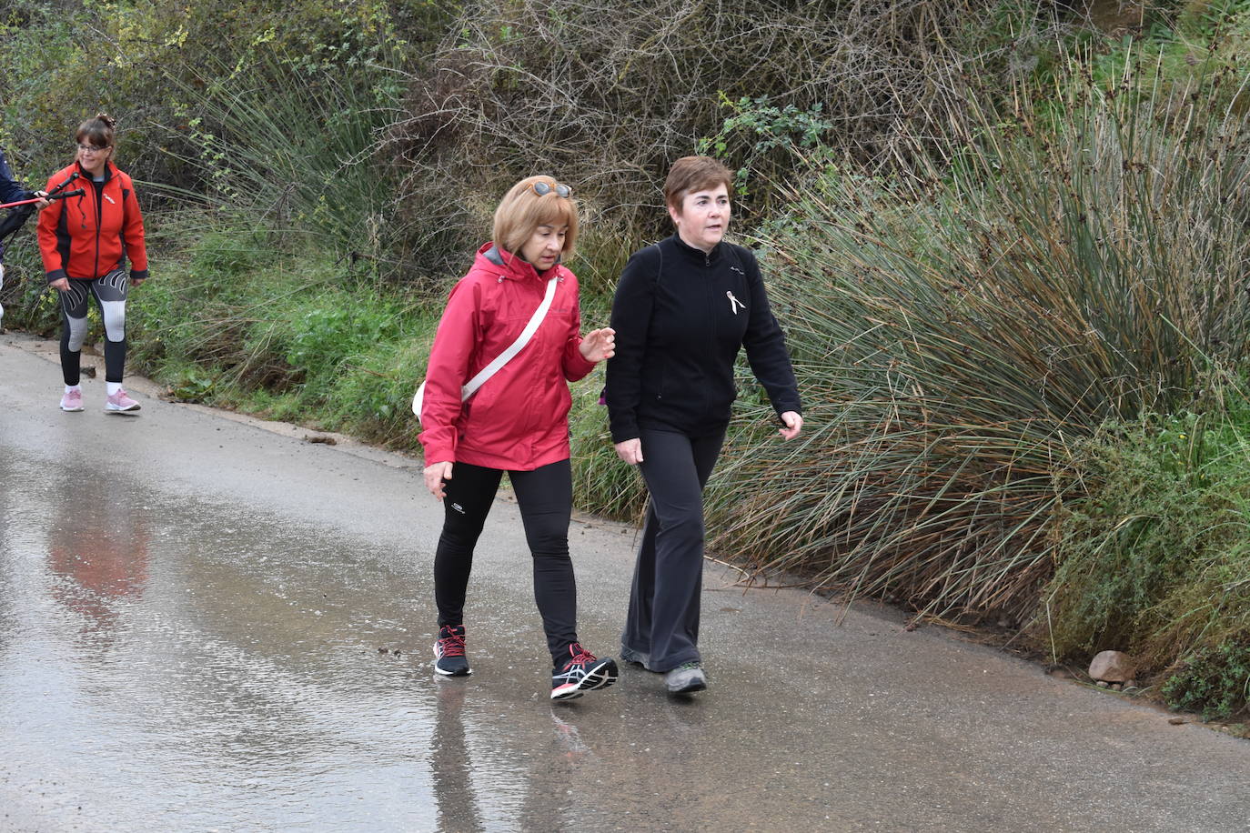 Los riojanos se vuelcan con la marcha de Amade contra el cáncer