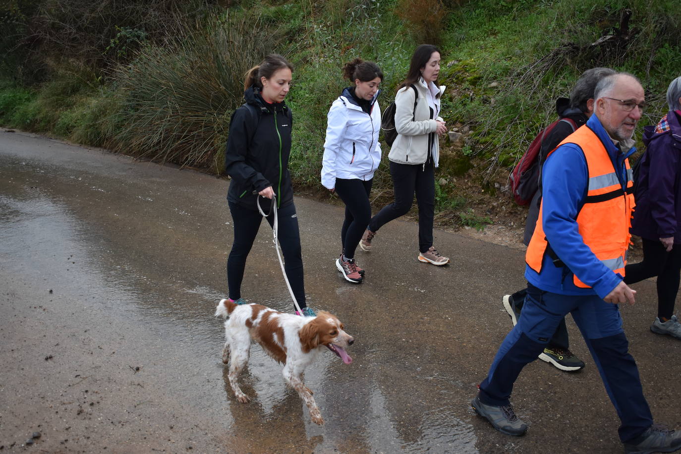 Los riojanos se vuelcan con la marcha de Amade contra el cáncer
