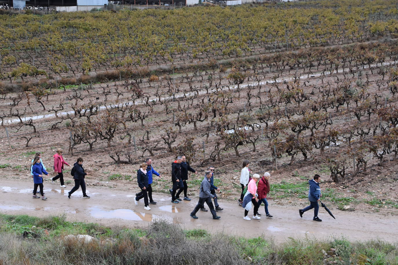 Los riojanos se vuelcan con la marcha de Amade contra el cáncer