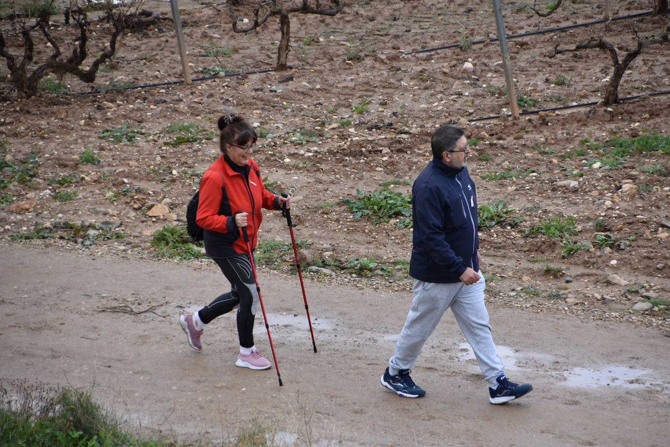 Los riojanos se vuelcan con la marcha de Amade contra el cáncer