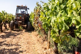 Las organizaciones agrarias convocan una manifestación el miércoles «en defensa del sector vinícola»