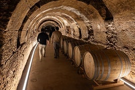 Tritium amplía su patrimonio