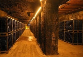 Los jaulones de botellas ocupan buena parte de los calados más anchos de la bodega.