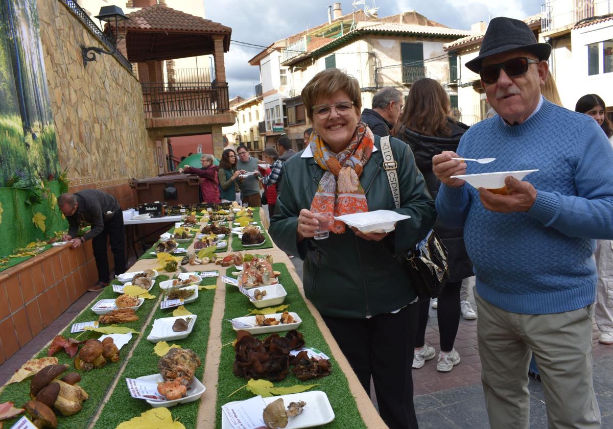 XIII Jornadas Micológicas de Aguilar