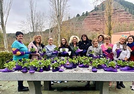 Zapatos morados en Nájera contra la violencia de género