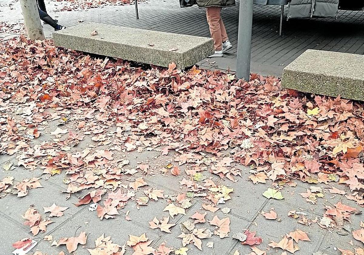 «Impuesto a los perros por lo que manchan»