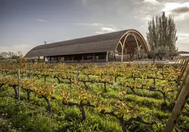 El nuevo proyecto Legado Bodegas Faustino.