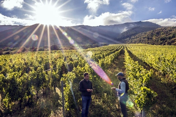 Diego Sufrategui, director de campo de Nivarius y Proelio, y Raúl Tamayo, director técnicos de las bodegas, en el viñedo El Silo, en Albelda.