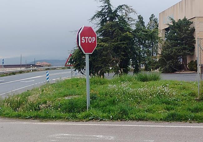 Cruce en el que un árbol impide la visión