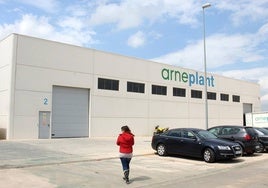 Arneplant, en una imagen de archivo.