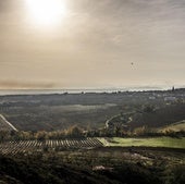 Vinos de pueblo: nombre y apellido