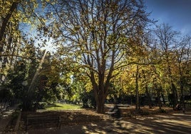 Parque del Carmen en una imagen de archivo.