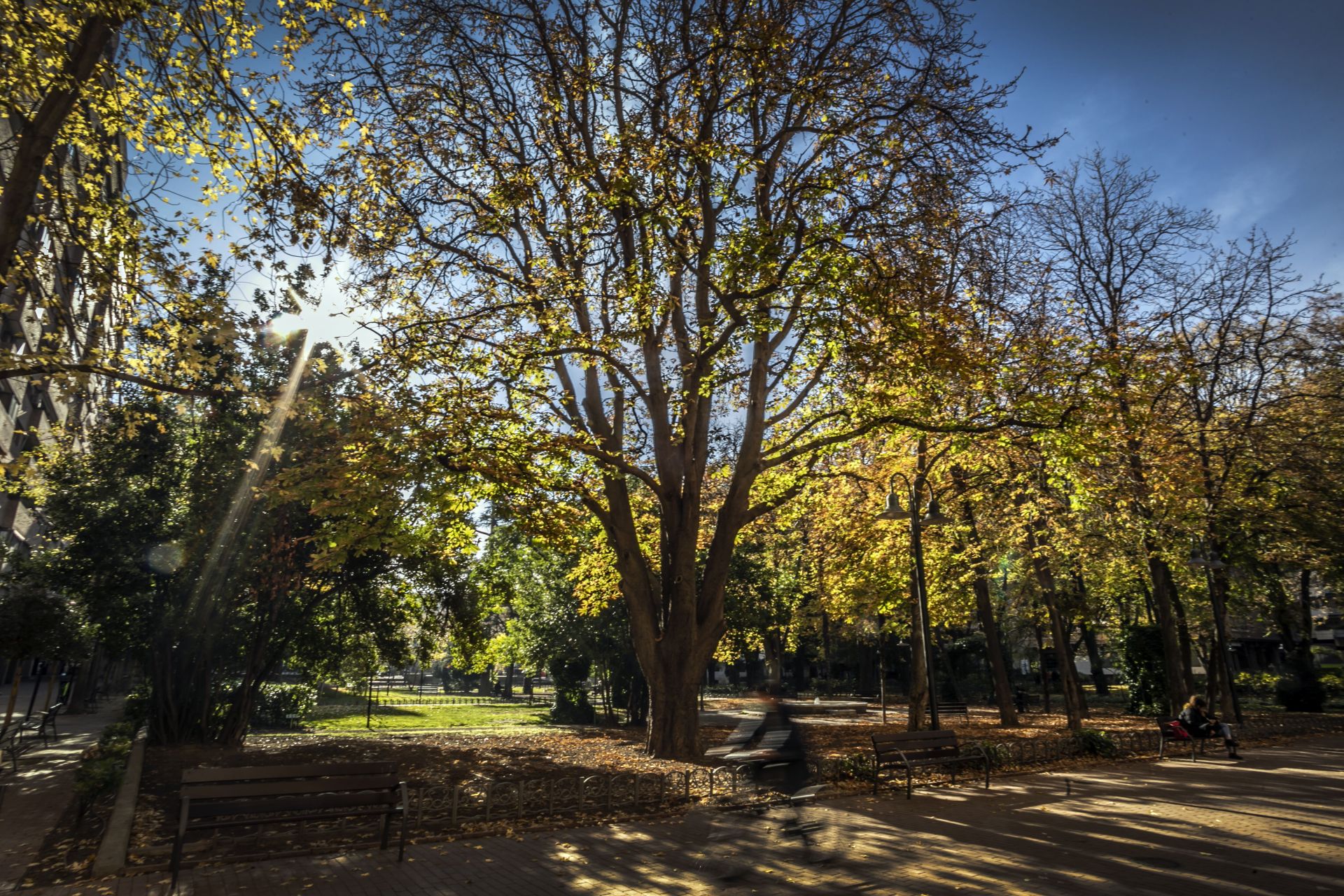 Tres detenidos por una pelea en la calle Pío XII junto al parque del Carmen de Logroño
