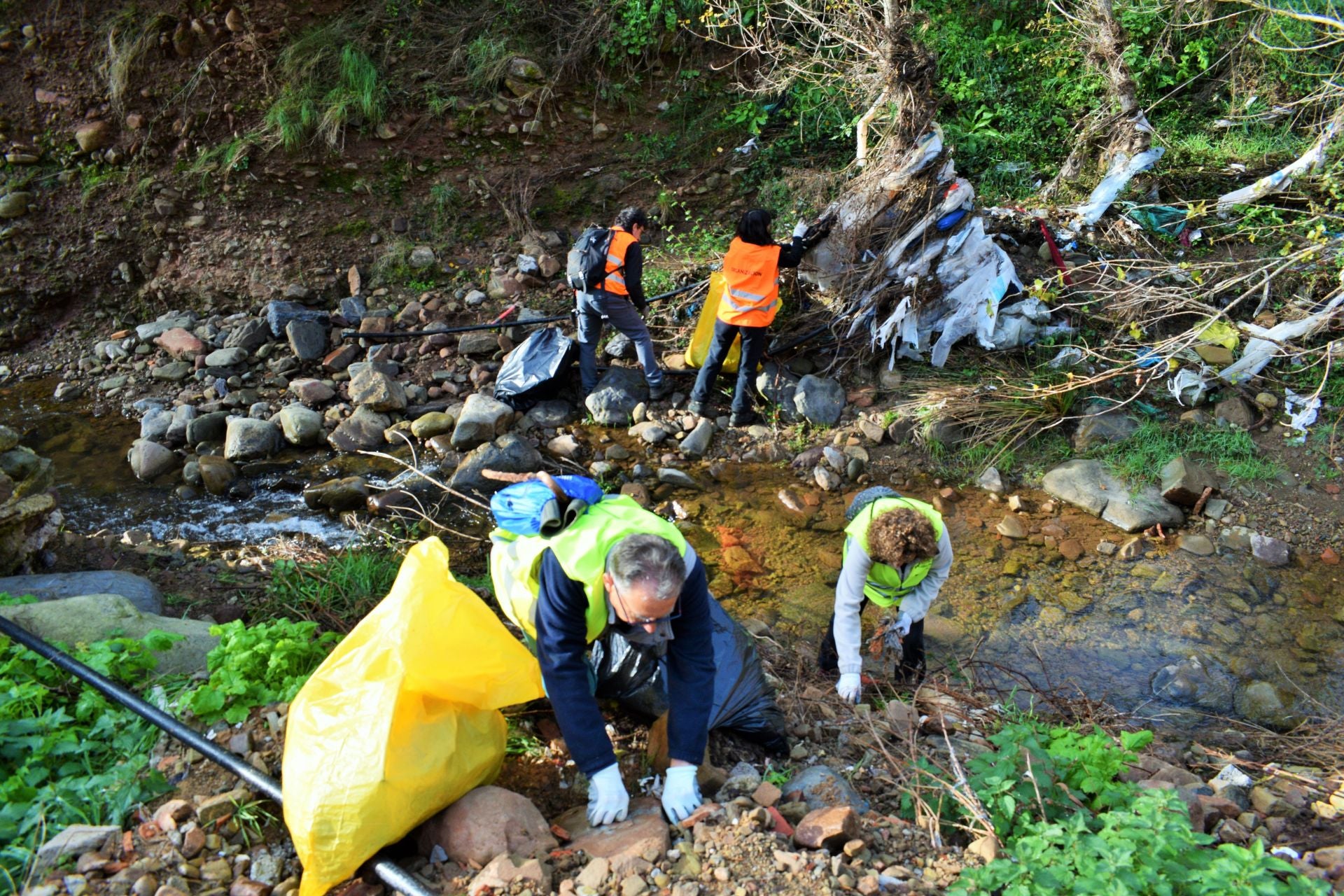 &#039;Amigos de los ríos&#039; limpia el barranco de Santa Engracia