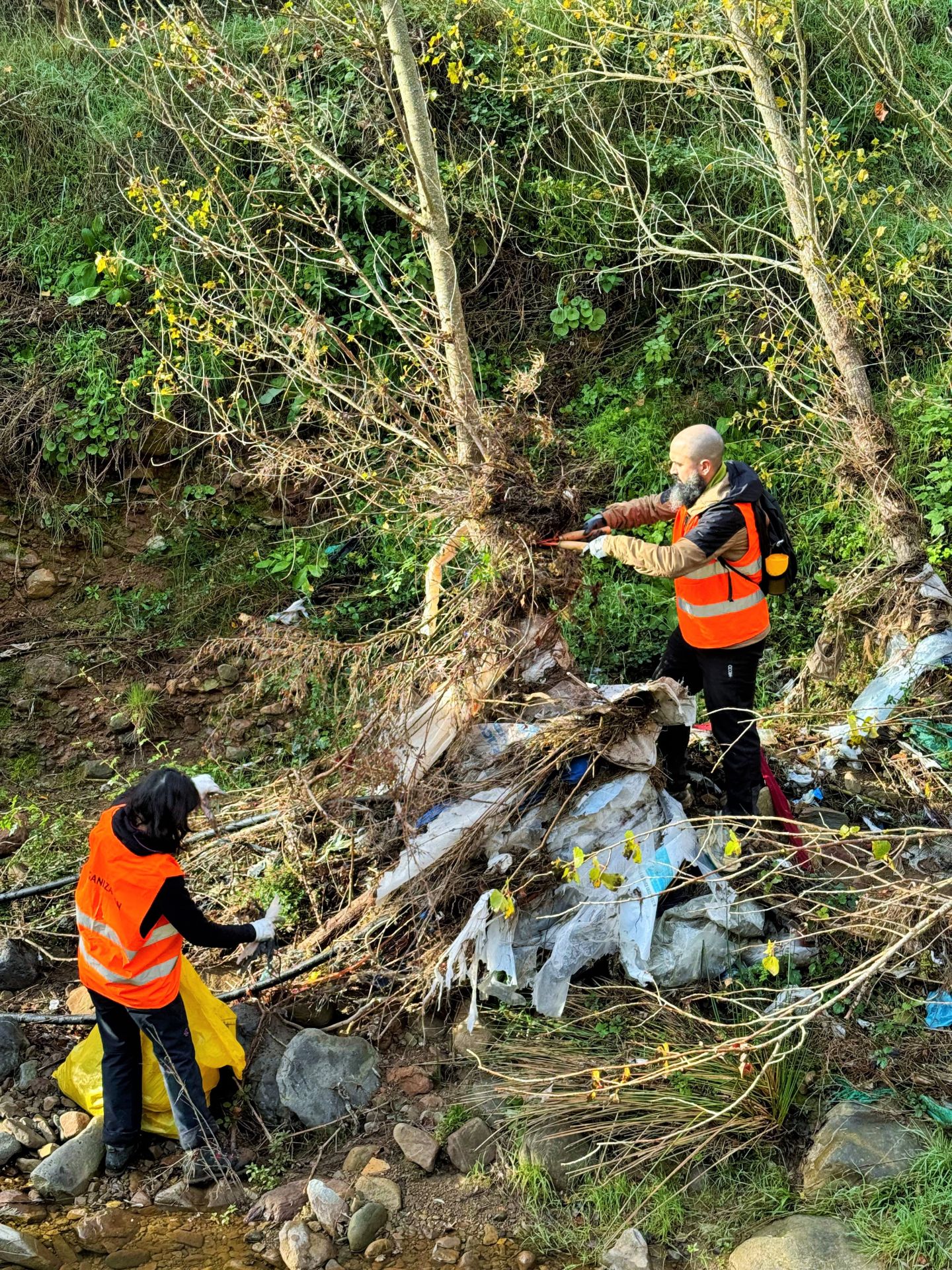&#039;Amigos de los ríos&#039; limpia el barranco de Santa Engracia