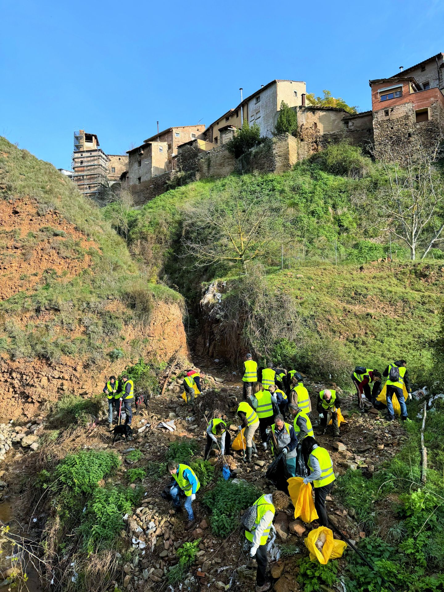 &#039;Amigos de los ríos&#039; limpia el barranco de Santa Engracia