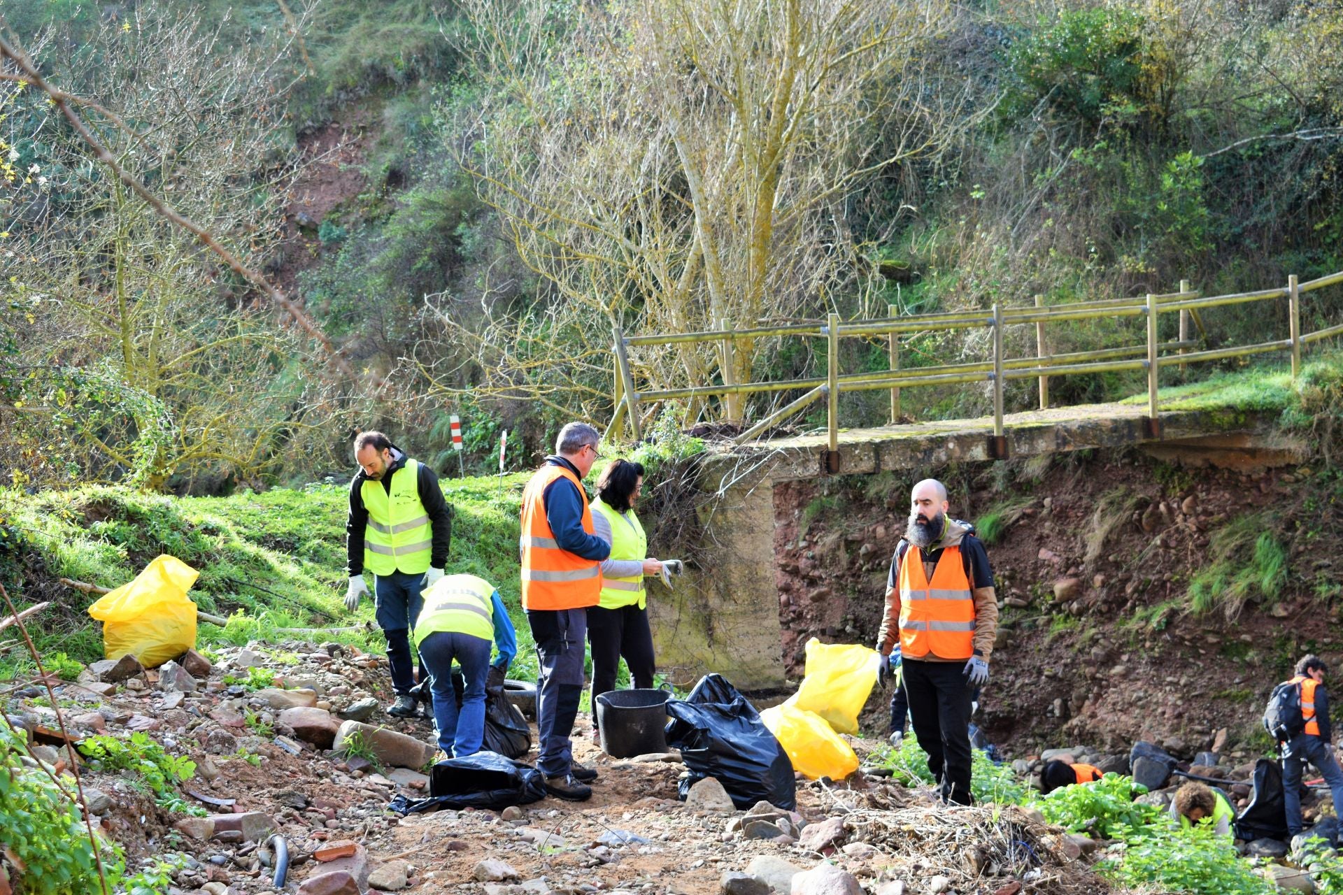 &#039;Amigos de los ríos&#039; limpia el barranco de Santa Engracia