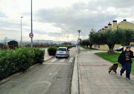 Vial de avenida de Madrid por donde se valora construir un nuevo carril bici en Lardero.