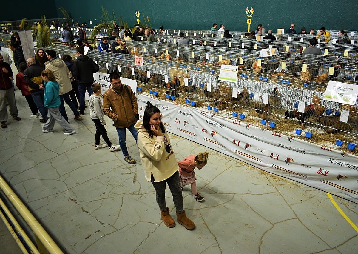 Imagen secundaria 1 - 700 aves de exposición en el frontón