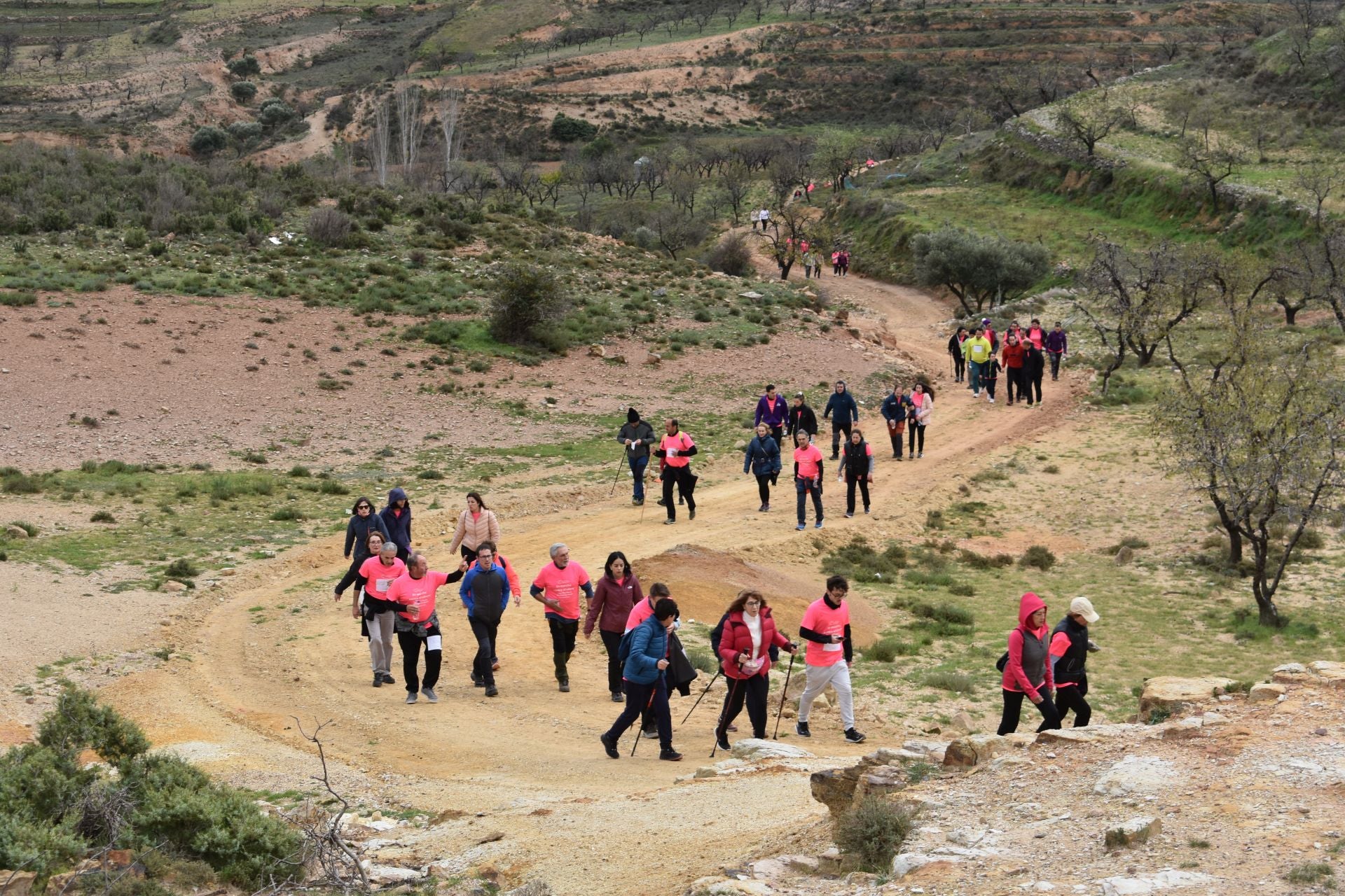 Búscate en la Marcha Solidaria a favor de la AECC