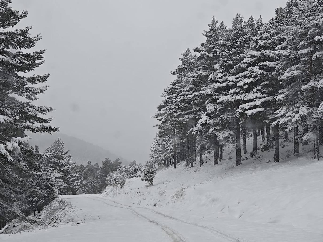 Un manto blanco en los alrededores de Villoslada.