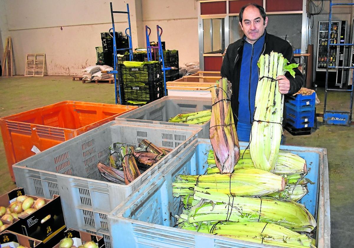 El consumo tradicional de cardo fresco en Navidad pasa a ser minoritario en la región