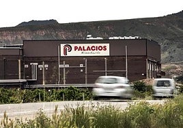 Concentración en Palacios para denunciar «persecución sindical a una delegada, despidos y sanciones injustificadas»