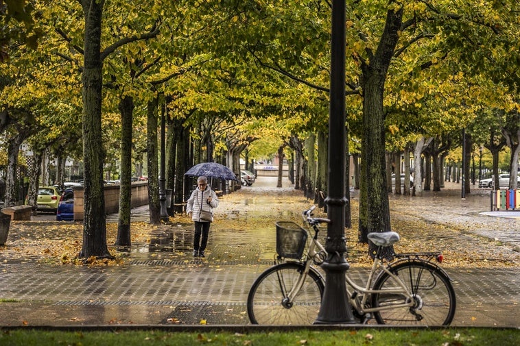 Lluvia en un parque de Logroño este otoño.