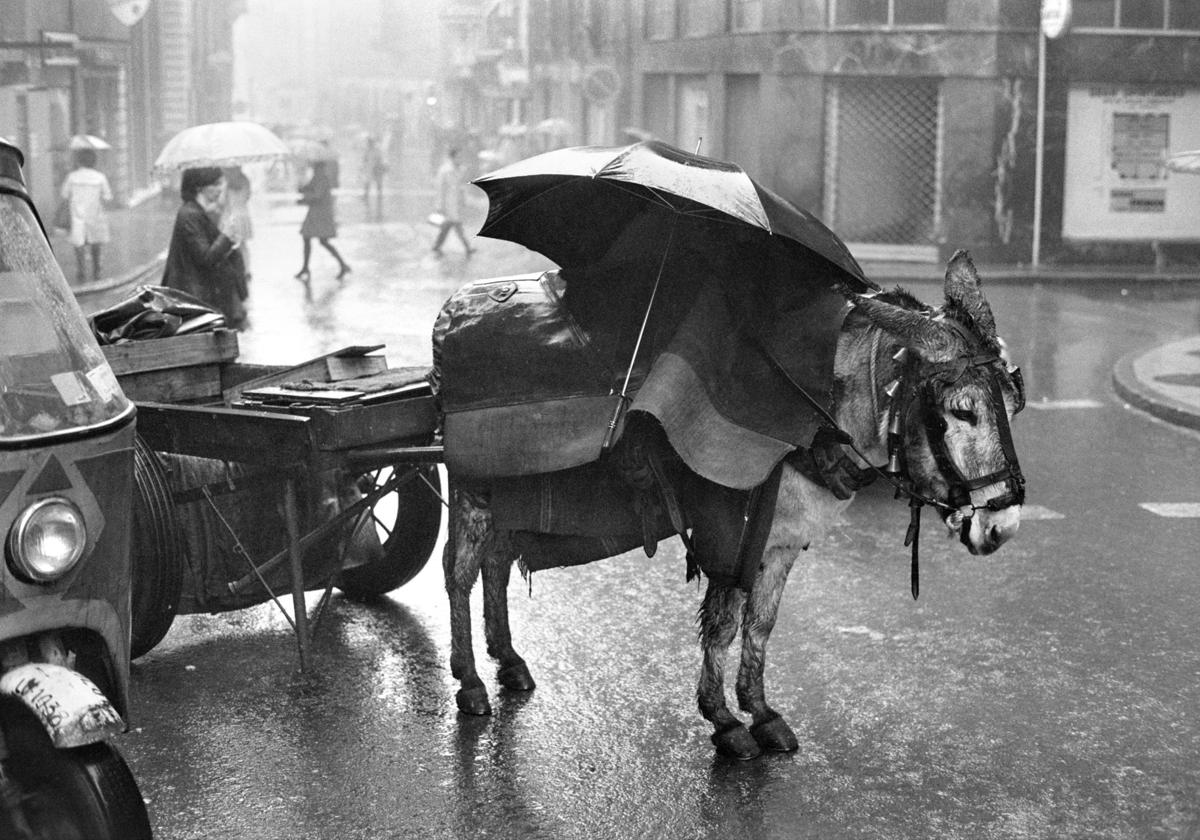 Lluvia en Logroño (1978).