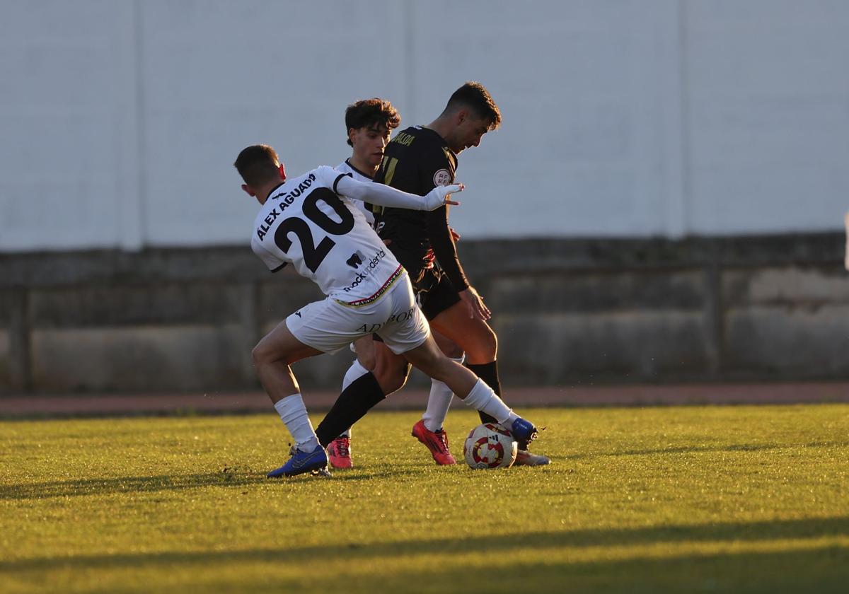 El partido Alfaro-UD Logroñés