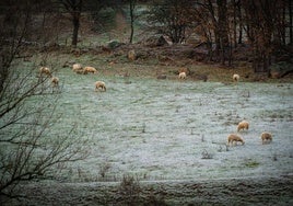 Estampa de ligeras nevadas en La Rioja.