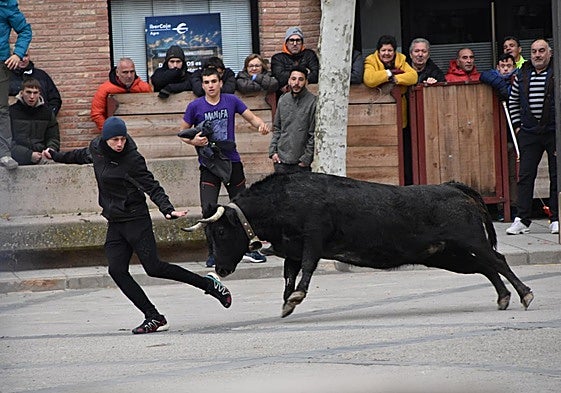 Encierro en las fiestas de invierno de Aldeanueva de Ebro en 2024.