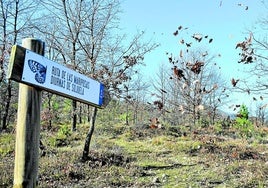 Acceso al nueva Espacio Natural Local La Plana del Molino de Sojuela desde la Senda de las Neveras.