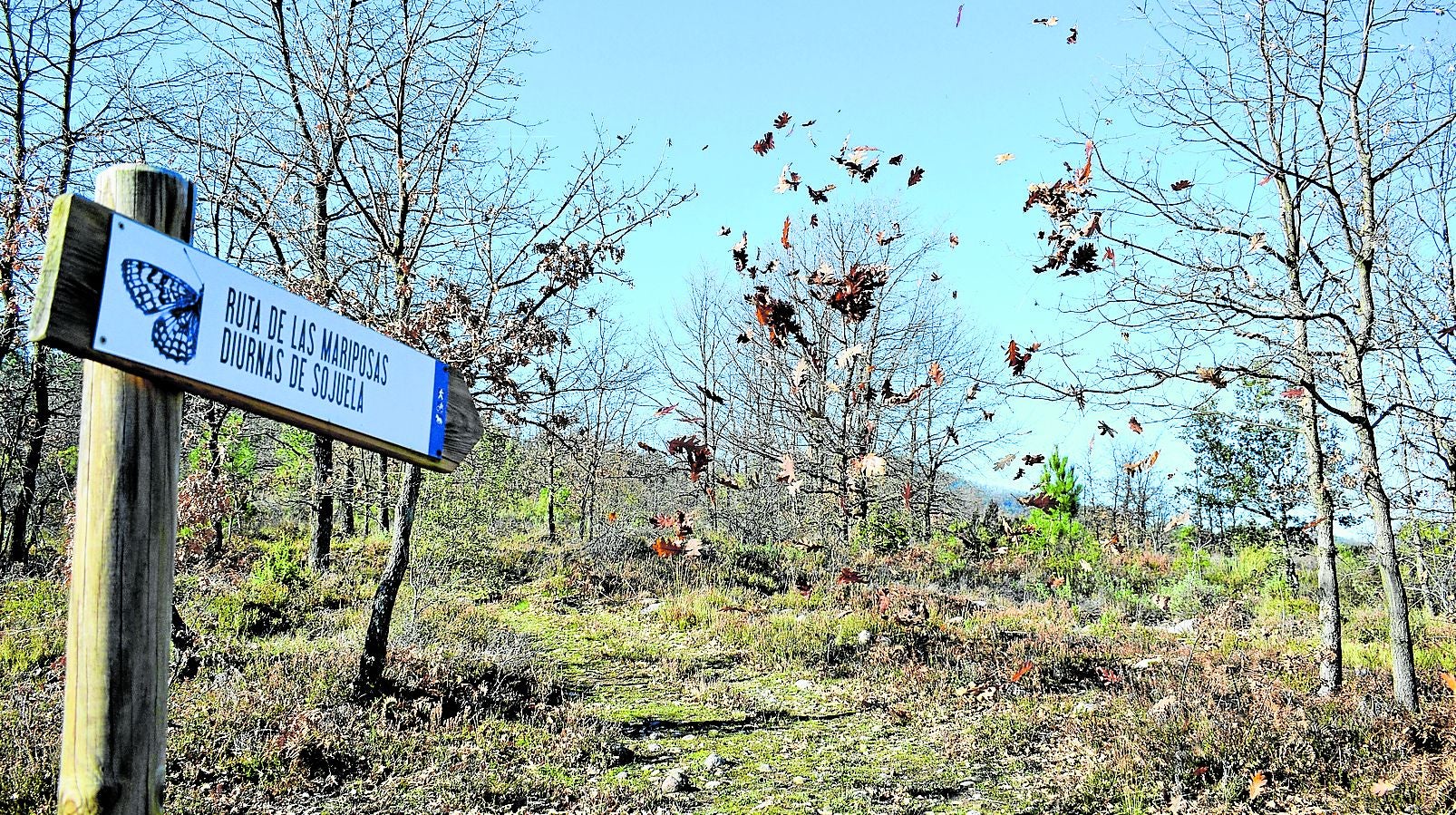 Acceso al nueva Espacio Natural Local La Plana del Molino de Sojuela desde la Senda de las Neveras.