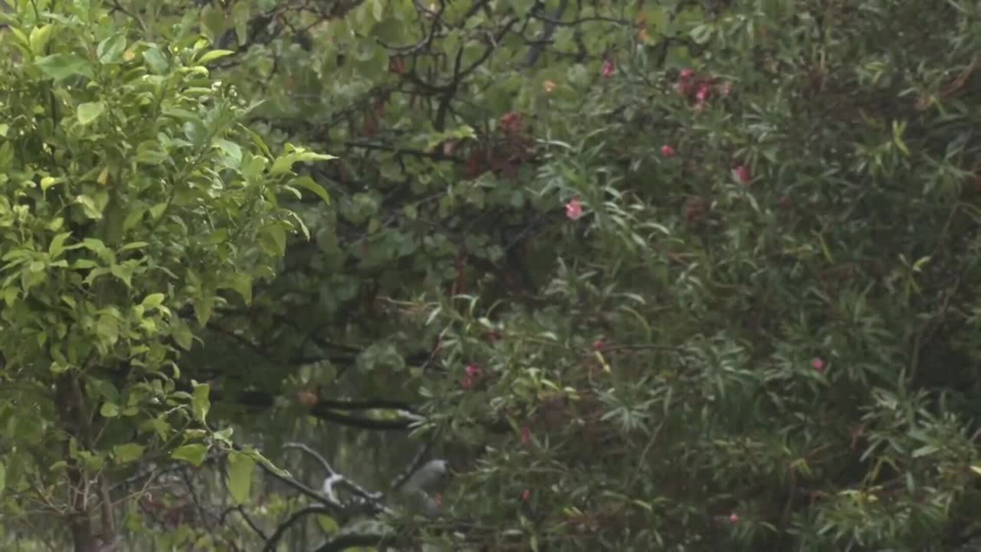 Aviso de nivel rojo por lluvia en Córdoba y Sevilla y naranja en resto de Andalucía occidental
