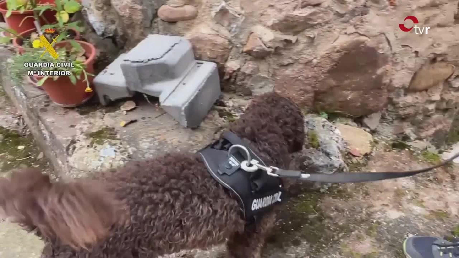 27 años de cárcel a los dos culpables por el asesinato del hostelero de Cuzcurrita, Guillermo Castillo