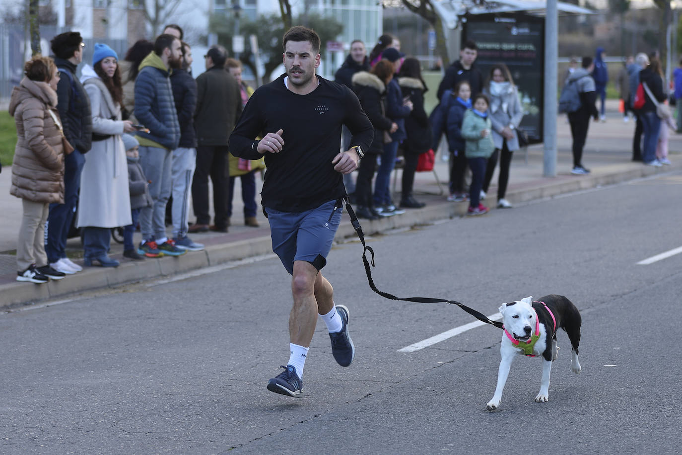 La carrera solidaria de la Policía Nacional en Logroño, en imágenes