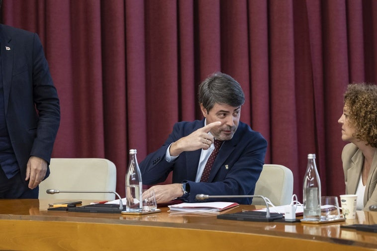 Luis Alonso, durante una sesión plenaria.