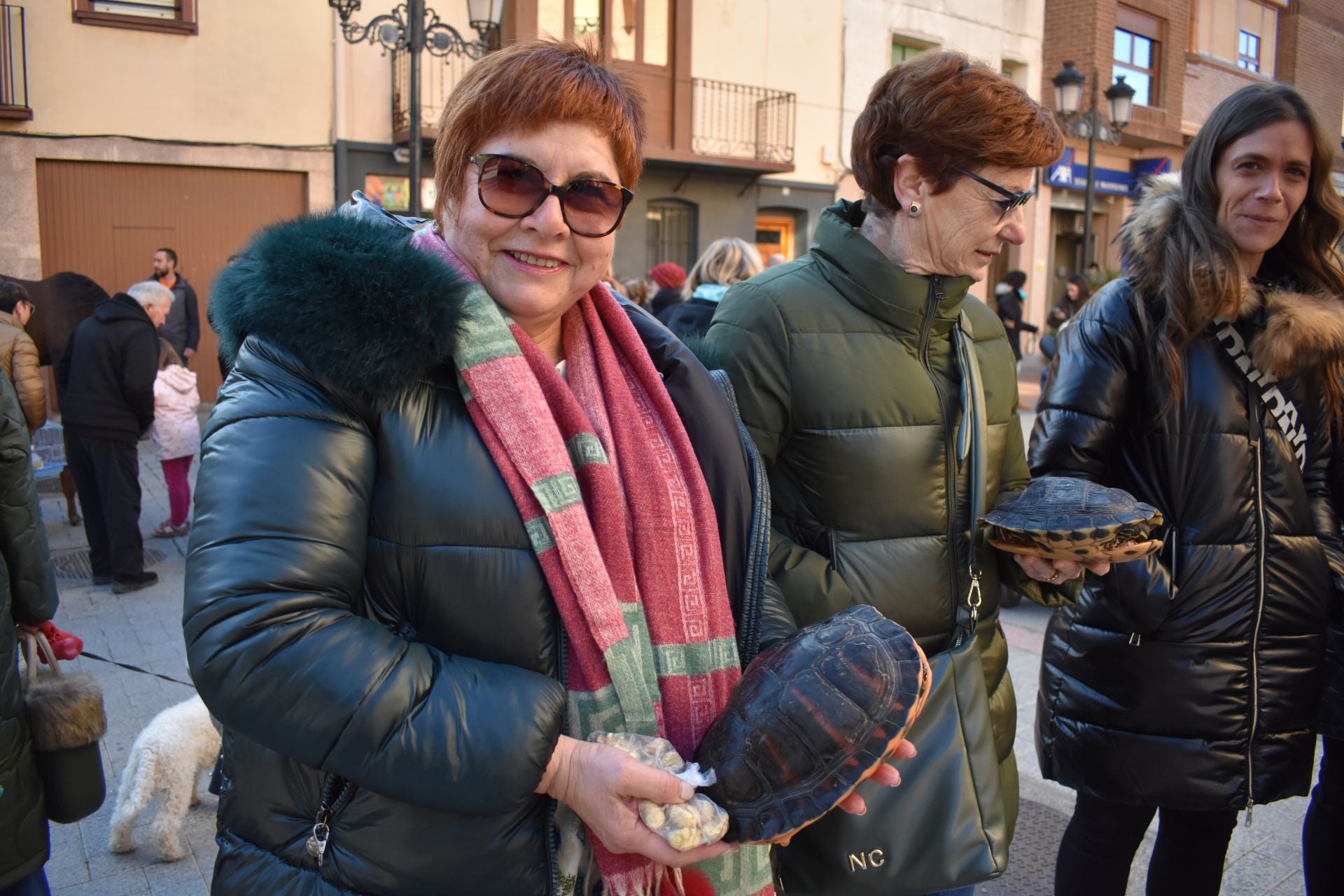 Bendición por San Antón en Rincón de Soto
