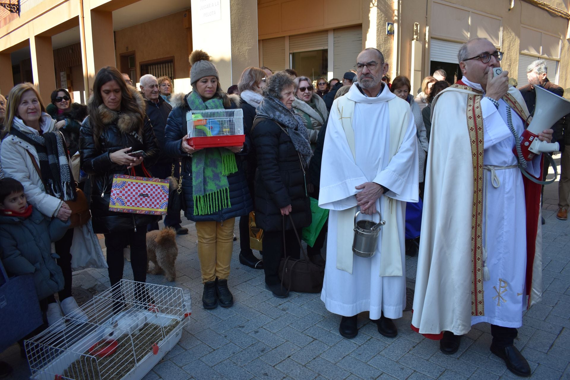 Bendición por San Antón en Rincón de Soto