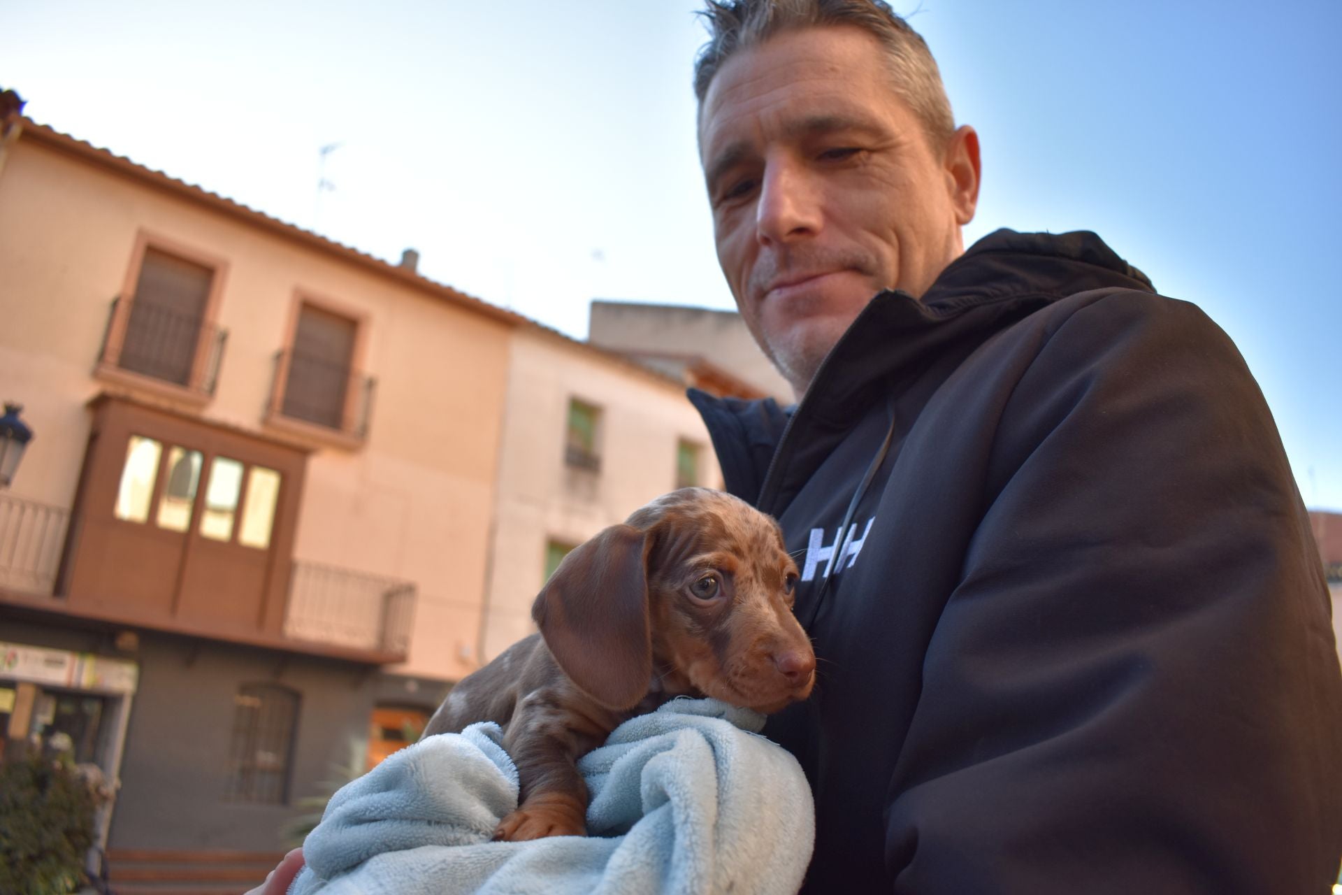 Bendición por San Antón en Rincón de Soto