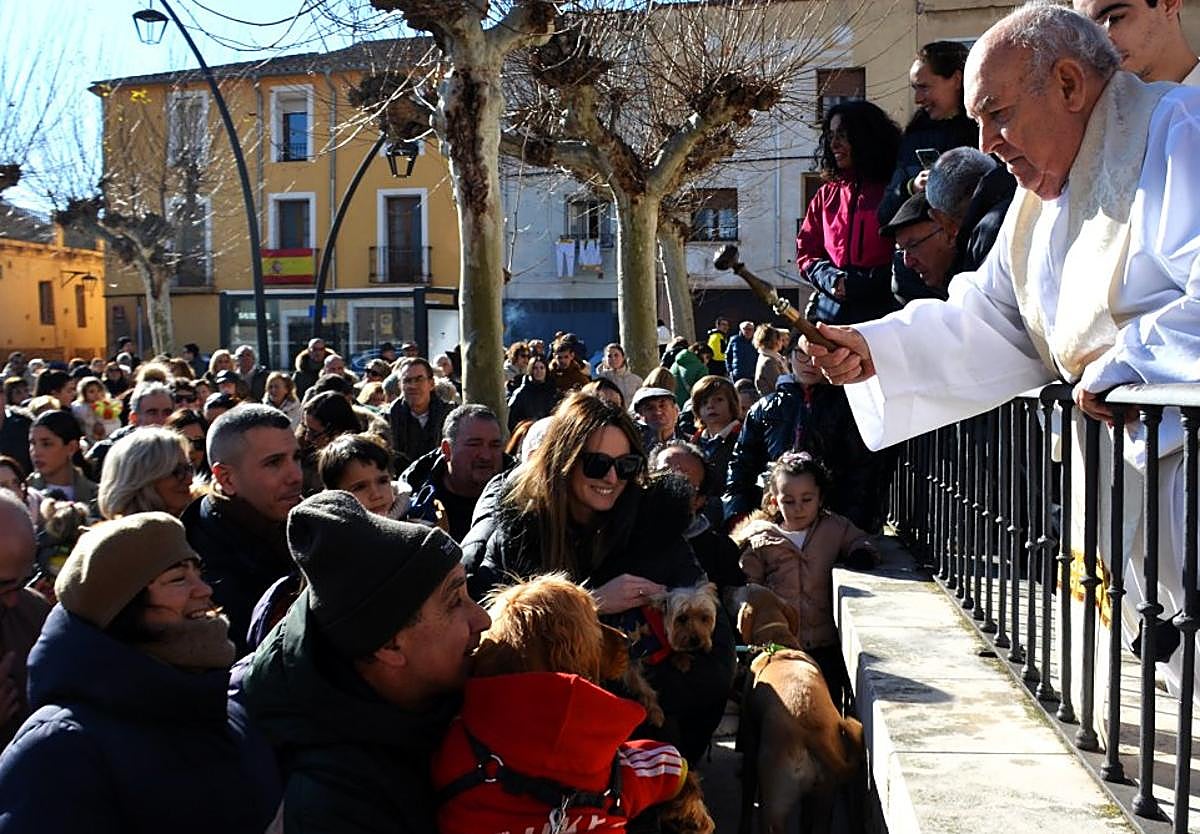Bendición de los animales en el Planillo de San Andrés, abarrotado de calagurritanos y calagurritanas con sus mascotas.