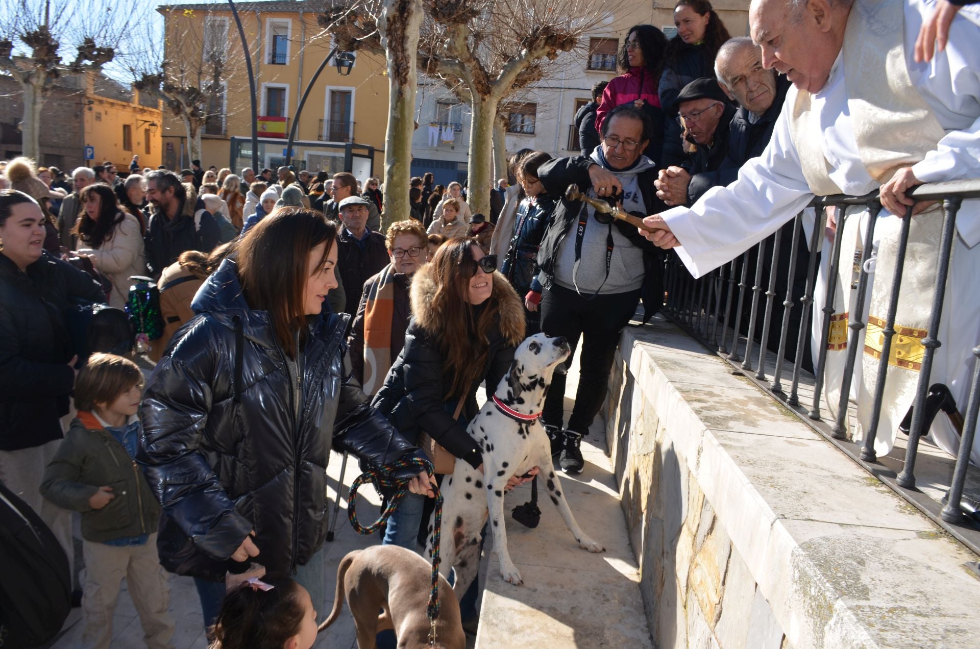 Bendición de San Antón, en Calahorra